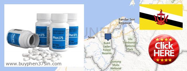 Where to Buy Phen375 online Brunei