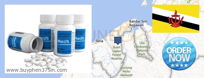 Onde Comprar Phen375 on-line Brunei