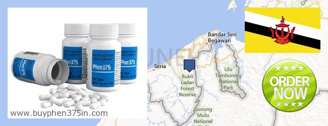 Nereden Alınır Phen375 çevrimiçi Brunei